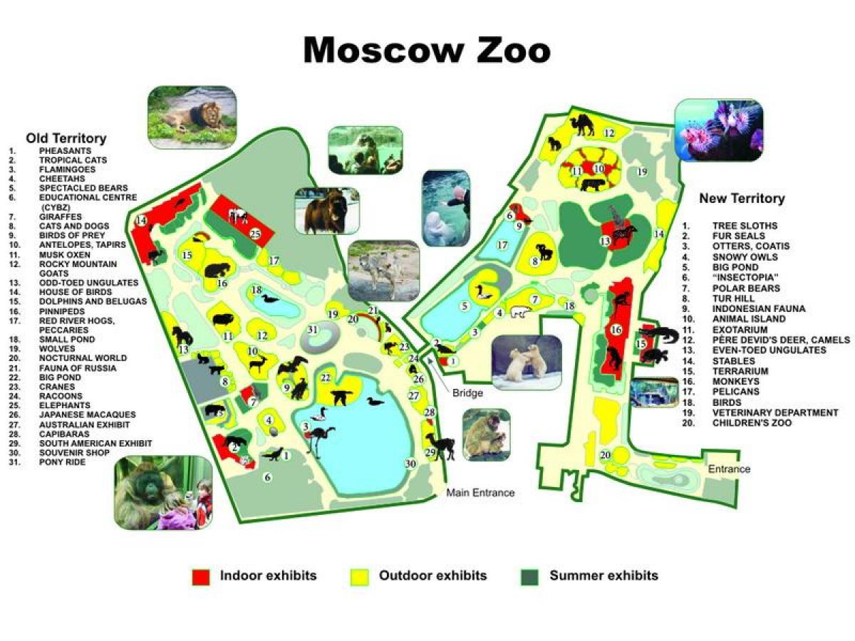 քարտեզը Մոսկվայի կենդանաբանական այգում